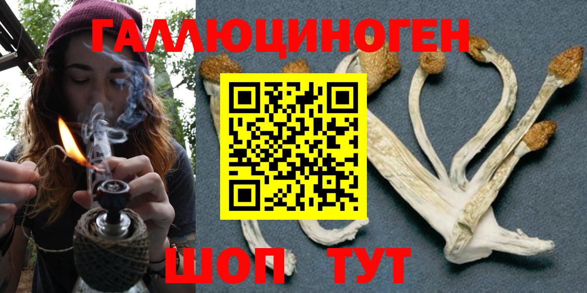 Галлюциногенные грибы MAGIC MUSHROOMS  Псилоцибиновые грибы MAGIC MUSHROOMS  Томск  Вход с VPN 