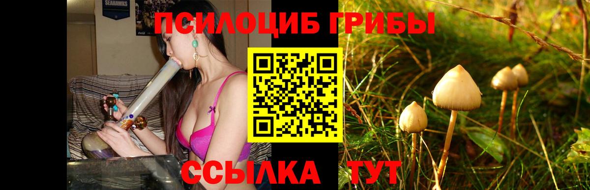 Псилоцибиновые грибы ЛСД Томск