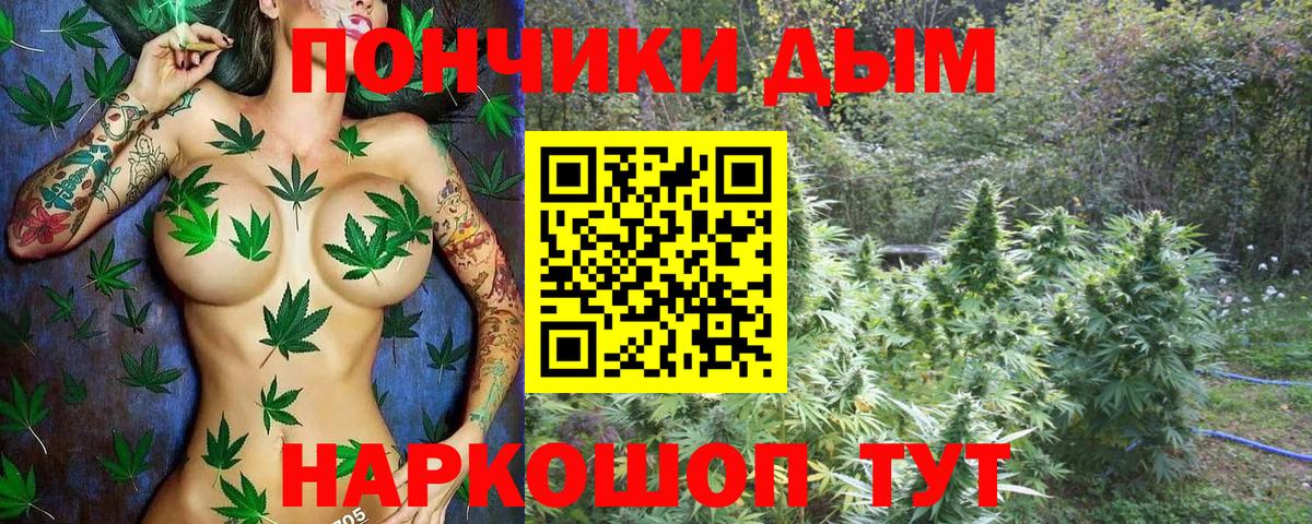 Бошки марихуана план  Вход с VPN  Марихуана LSD WEED  Бошки марихуана сатива  Бошки Шишки Ganja  Томск 